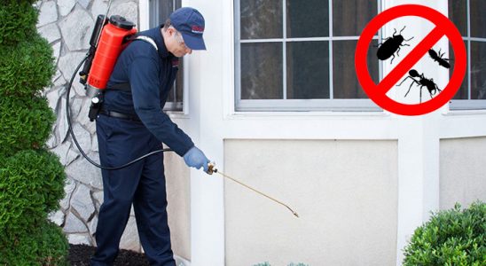 Konyaaltı Karınca İlaçlama böcek ilaçlama ve haşere kontrolü — ilaclama-tr.com
